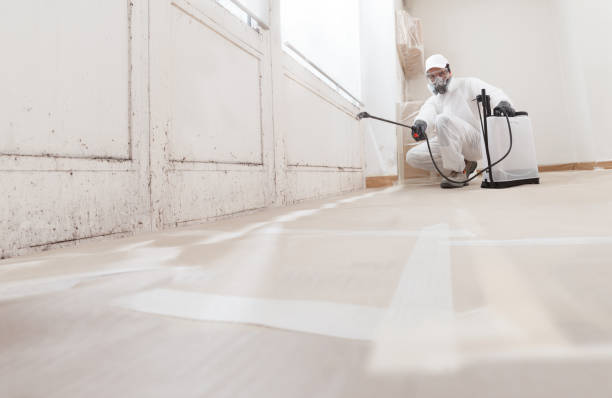 24/7 Emergency Mold Removal experts in Erwin, NC