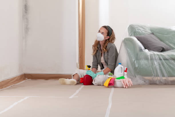 Reliable Mold Removal contractor in Erwin, NC by Car Mold Remediation
